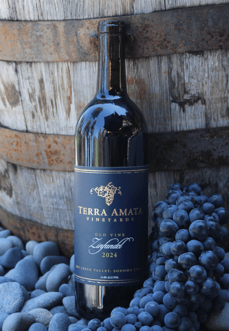2024 Old Vine Zinfandel