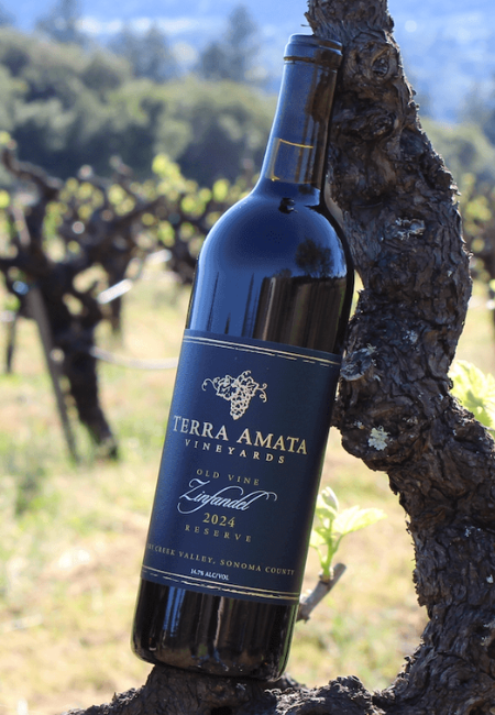 2024 Reserve Zinfandel