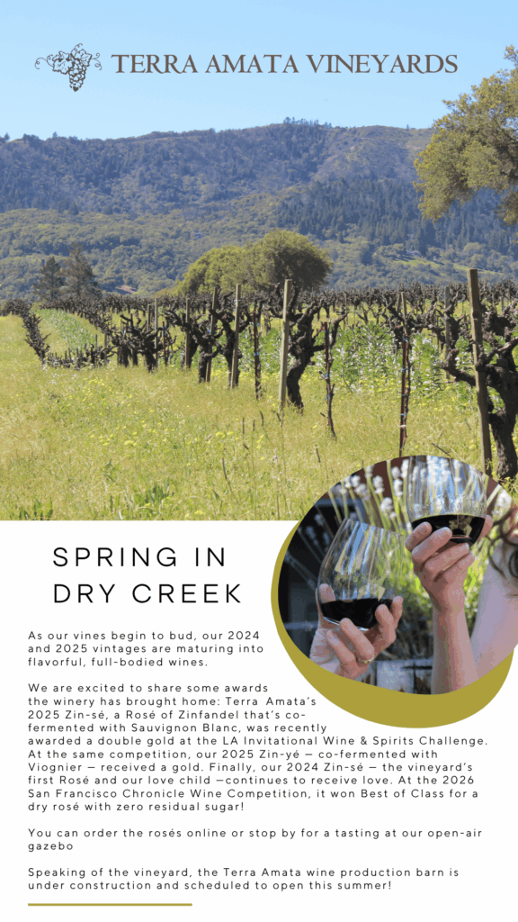 As our vines begin to bud, our 2024 and 2025 vintages are maturing into flavorful, full-bodied wines.
We are excited to share some awards the winery has brought home: Terra Amata's
2025 Zin-sé, a Rosé of Zinfandel that's co-fermented with Sauvignon Blanc, was recently
awarded a double gold at the LA Invitational Wine & Spirits Challenge.
At the same
competition, our 2025 Zin-yé - co-fermented with
Viognier - received a gold. Finally, our 2024 Zin-sé - the vineyard's first Rosé and our love child -continues to receive love. At the 2026 San Francisco Chronicle Wine Competition, it won Best of Class for a dry rosé with zero residual sugar!
You can order the rosés online or stop by for a tasting at our open-air gazebo
Speaking
of the vineyard, the Terra Amata wine production barn is
under construction and
scheduled to open this